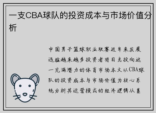 一支CBA球队的投资成本与市场价值分析
