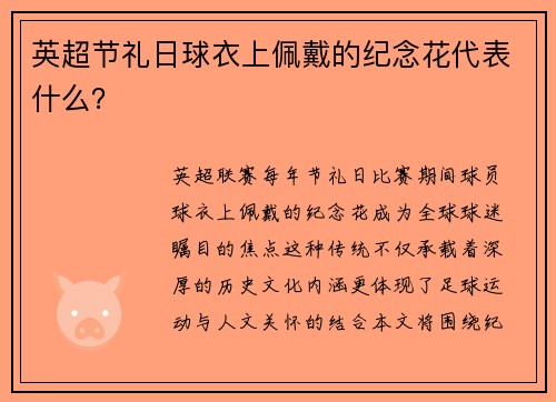 英超节礼日球衣上佩戴的纪念花代表什么？