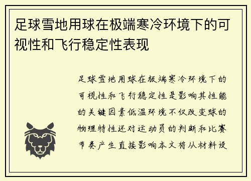 足球雪地用球在极端寒冷环境下的可视性和飞行稳定性表现
