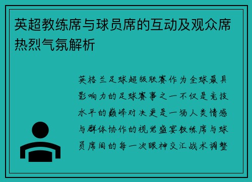 英超教练席与球员席的互动及观众席热烈气氛解析